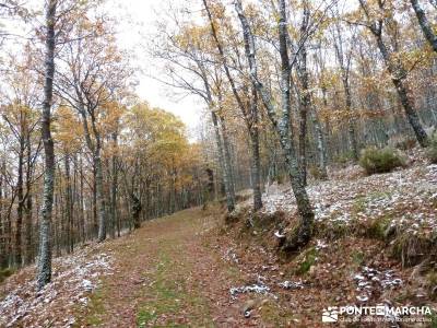 Molino Río Jarama-La Hiruela; calzada romana cercedilla sierra cabrera batalla de madrid